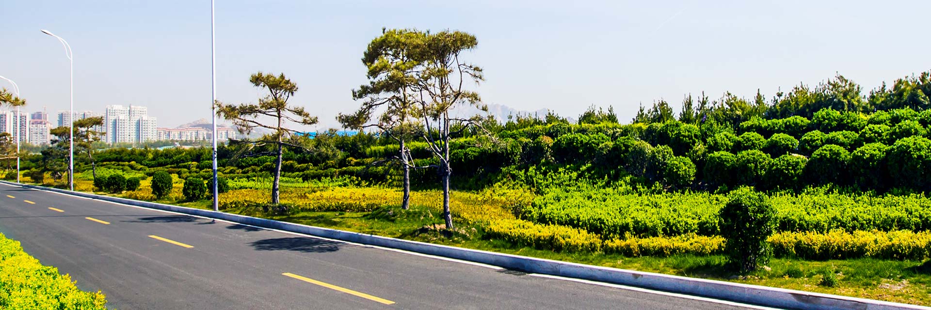 西海岸蓝湾路工程