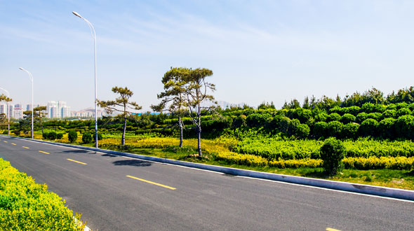 西海岸蓝湾路工程