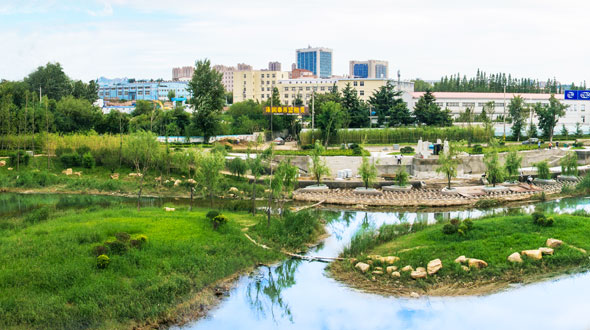 张村河生态系统构建工程