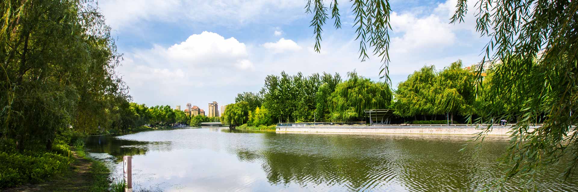 李村河生态系统构建工程